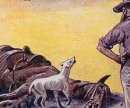 Postcard conveying the effects of drought.