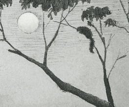 Drawing of diggers hunting. Drawing of diggers hunting.