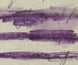 Censored letter form a soldier, 1915. Censored letter form a soldier, 1915.